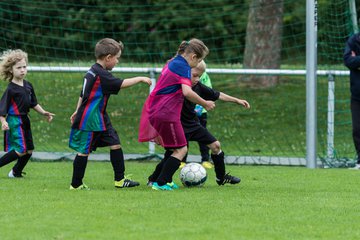 Album: Minis - 